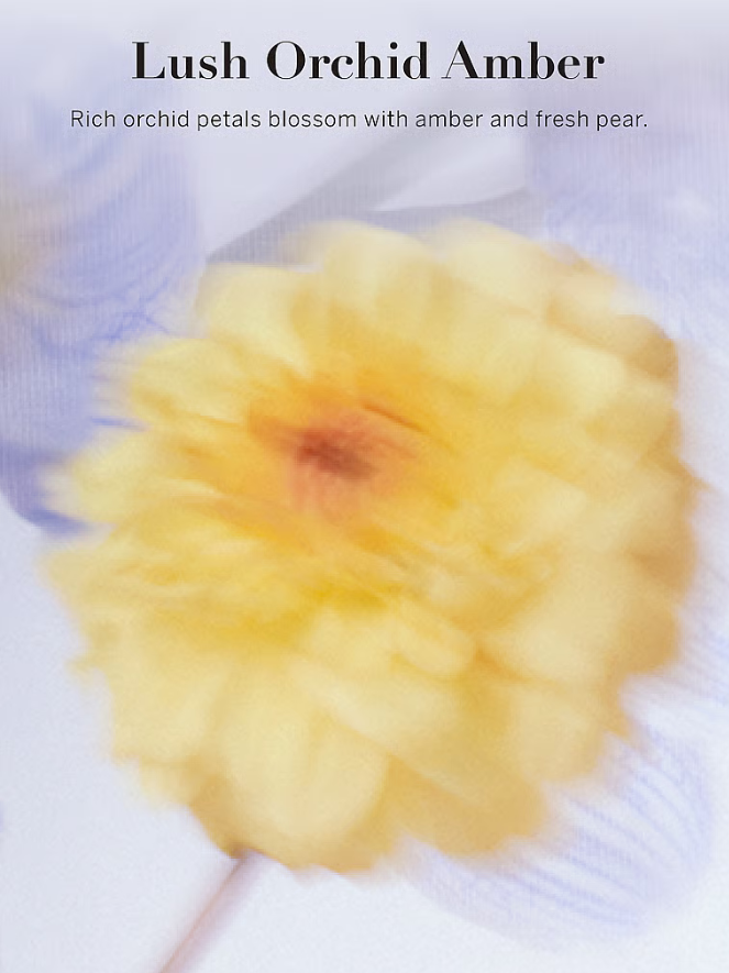 Lush Orchid Amber - Fragrance Mist
