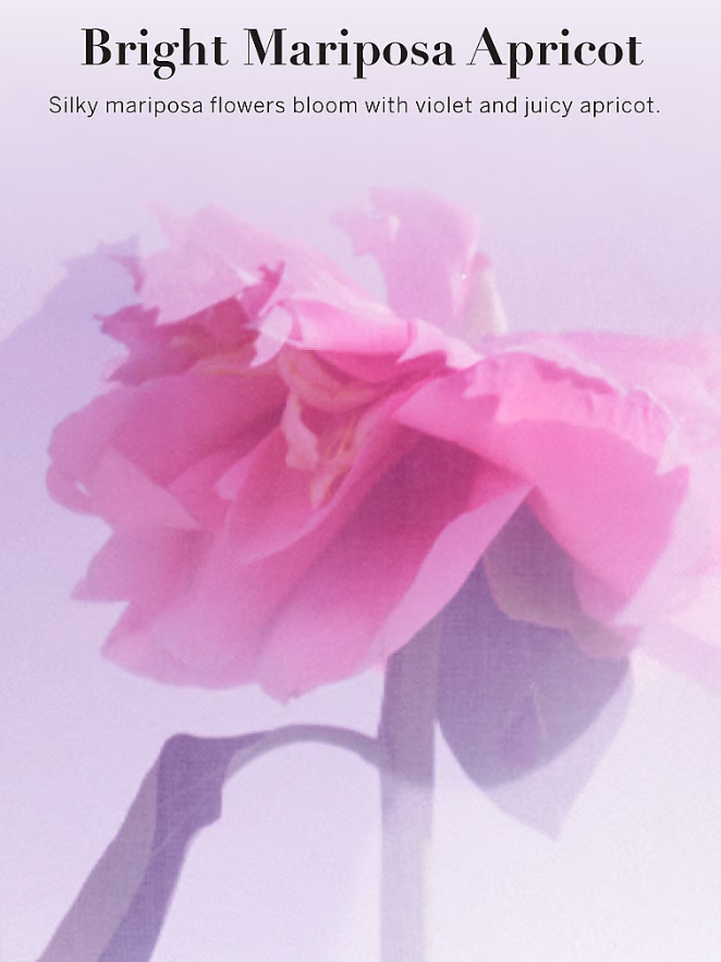 Bright Mariposa Apricot - Fragrance Mist